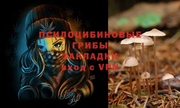 твердый Заволжье