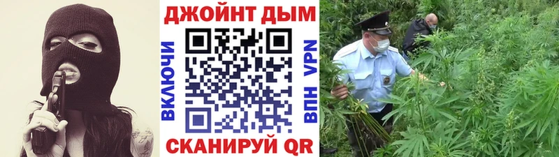 МАРИХУАНА Amnesia  Купить  Кинешма 