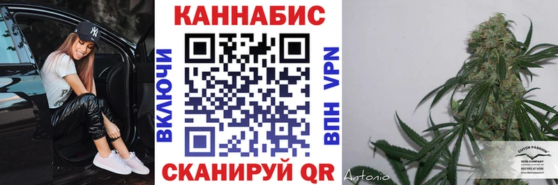 Марихуана Amnesia Кинешма